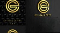 Jasa Desain Logo Gallerys untuk EVI