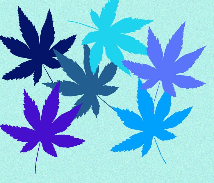 Penggunaan Warna Analog dalam Desain Grafis