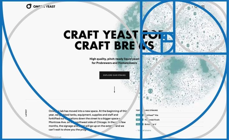 Eksplorasi Jenis-jenis Komposisi dalam Desain Grafis