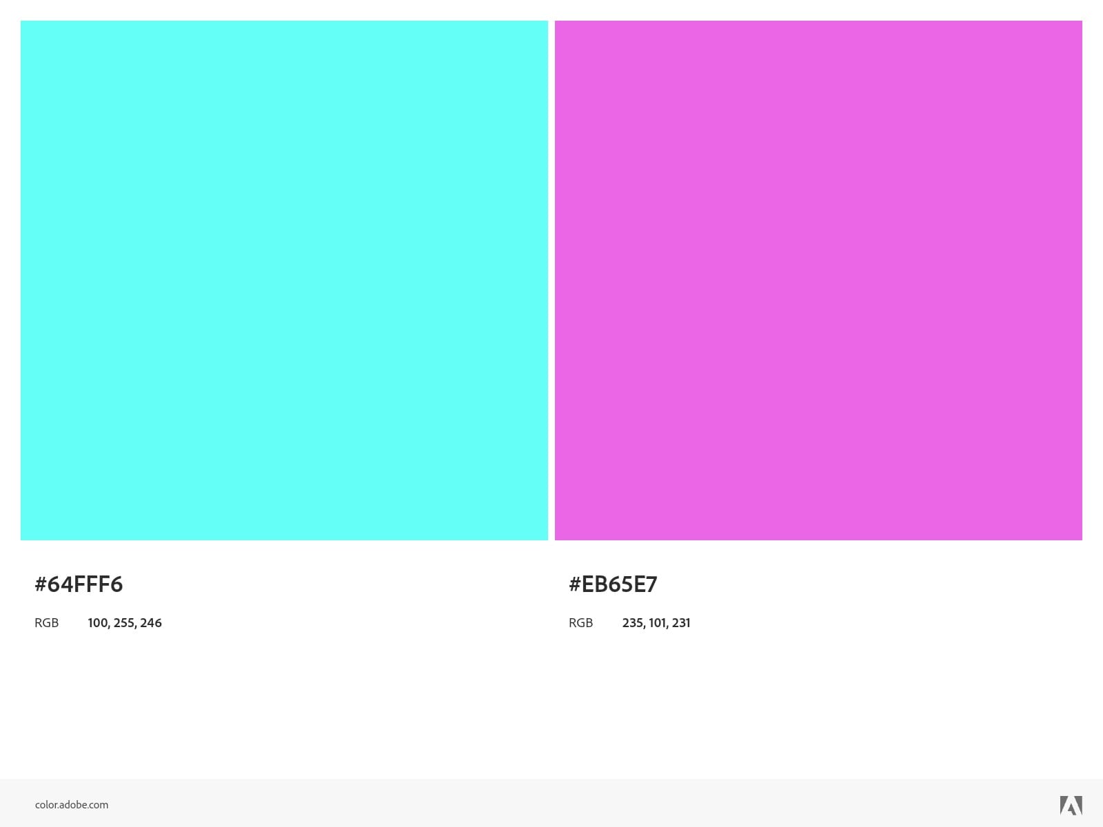 Contoh dan Tips Menghindari Kombinasi Warna yang Buruk