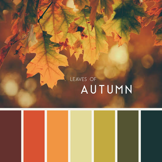 Tips Mengatur Palet Warna yang Harmonis