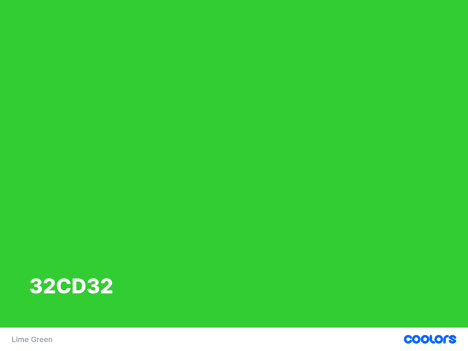 Tips Menentukan Warna Hijau Sesuai Karakter Brand