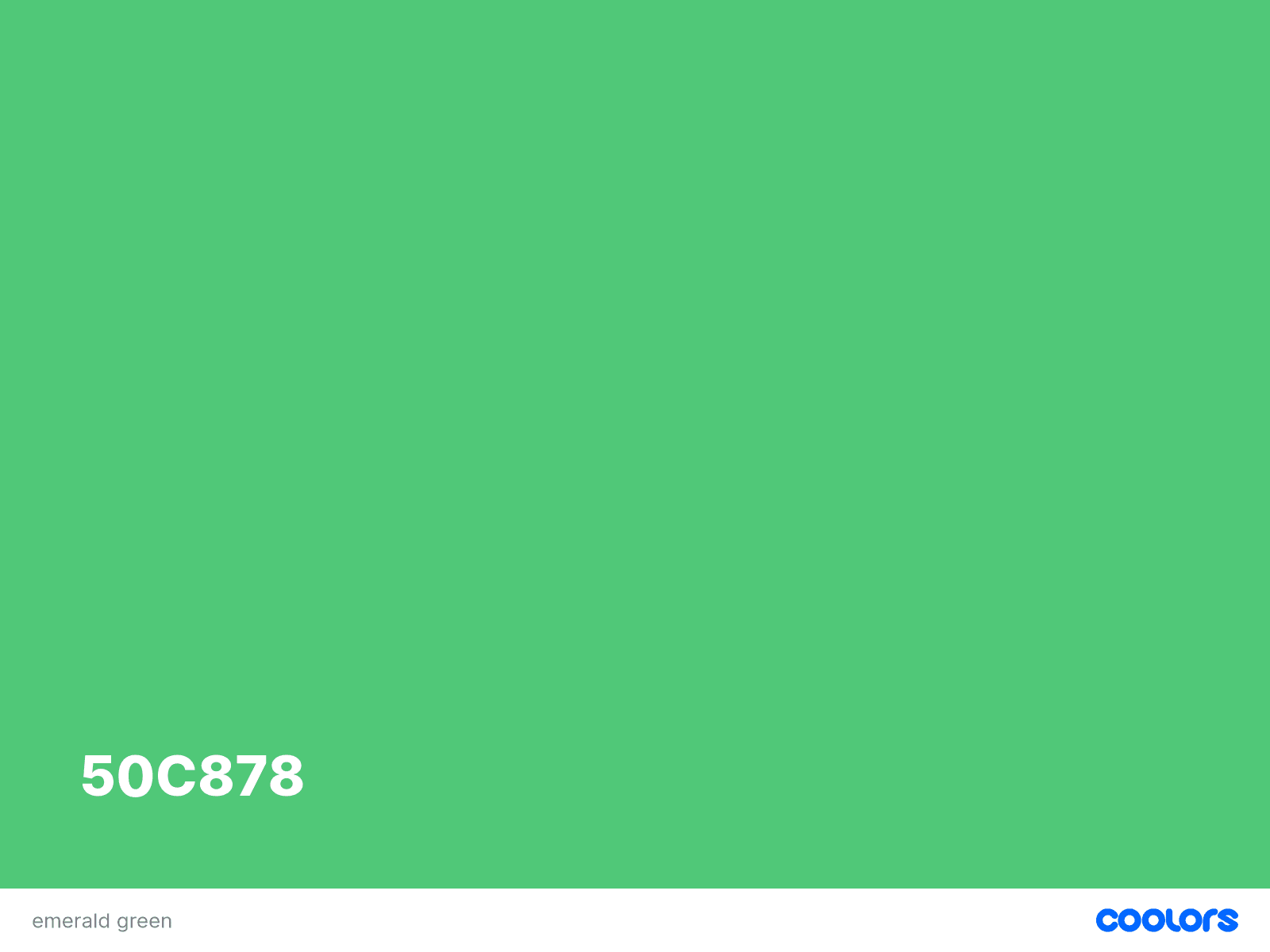 Tips Menentukan Warna Hijau Sesuai Karakter Brand