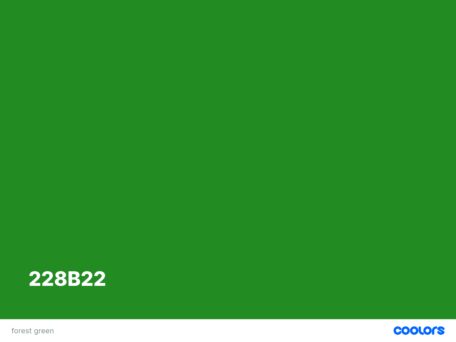 Tips Menentukan Warna Hijau Sesuai Karakter Brand