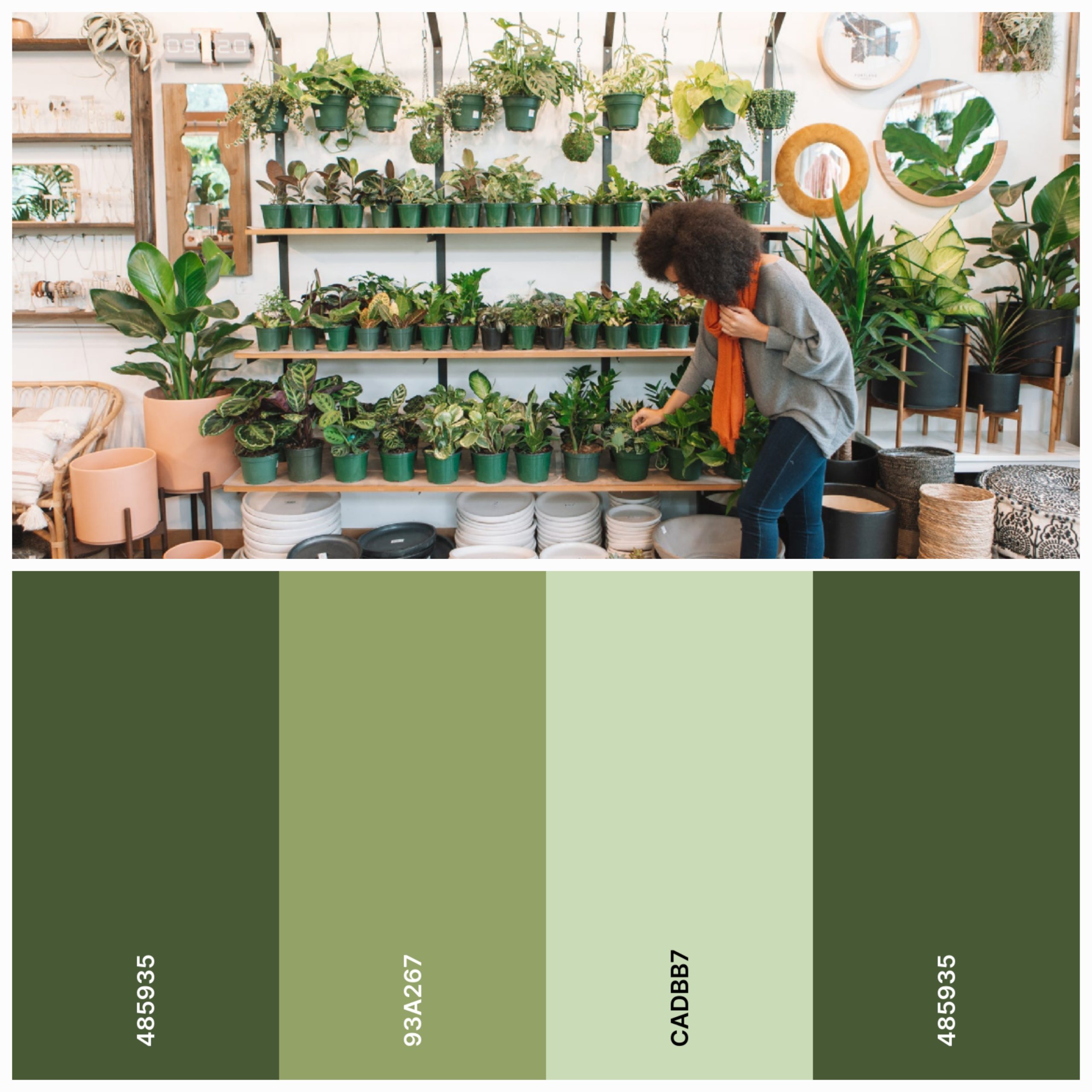 4 Palet Warna untuk Jenis Brand Home dan Lifestyle